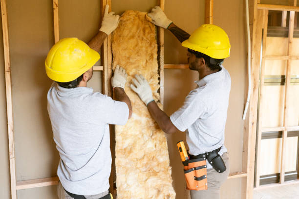 Best Insulation Inspection Services  in Helena, OK