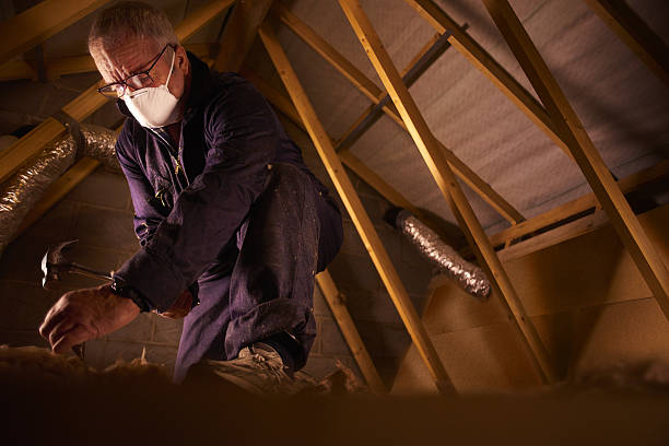 Best Soundproof Insulation Installation  in Helena, OK